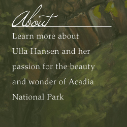 About Ulla Hansen - learn more about ulla hansen and her passion for the beauty and wonder of Acadia National Park